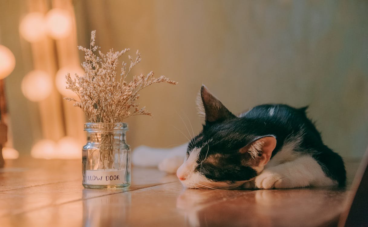 Essential Oil Enthusiasts